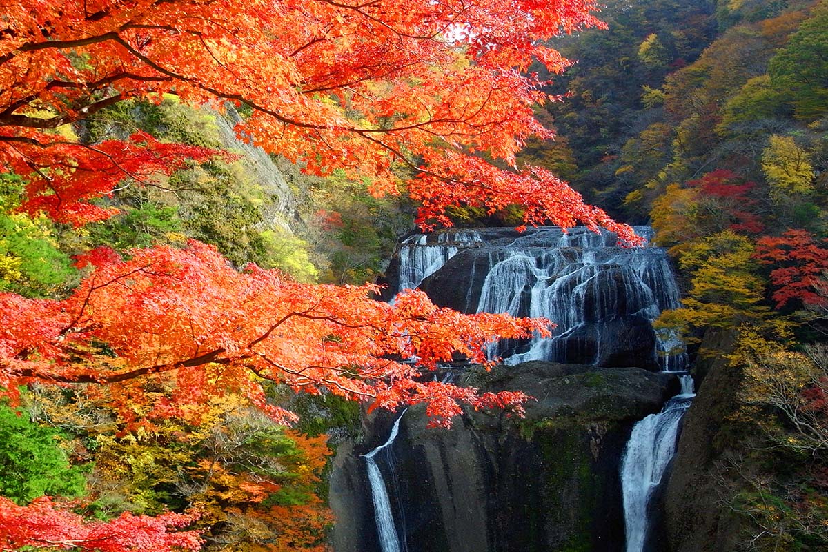 達人帶路 奧日光 翩翩水印照紅葉 小東北5日22 10 21 金龍旅遊